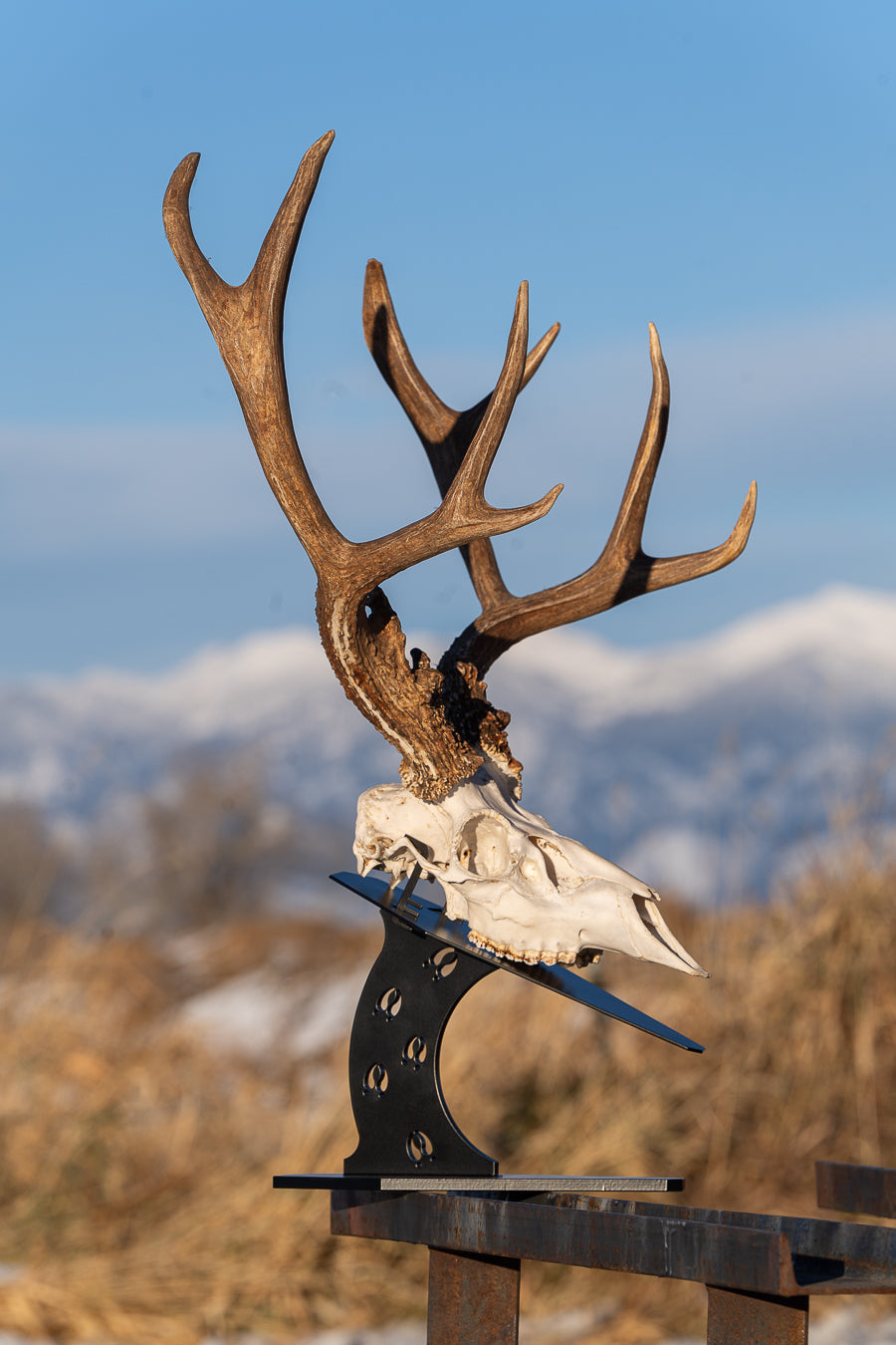 Premium Euro Mount Display - Table