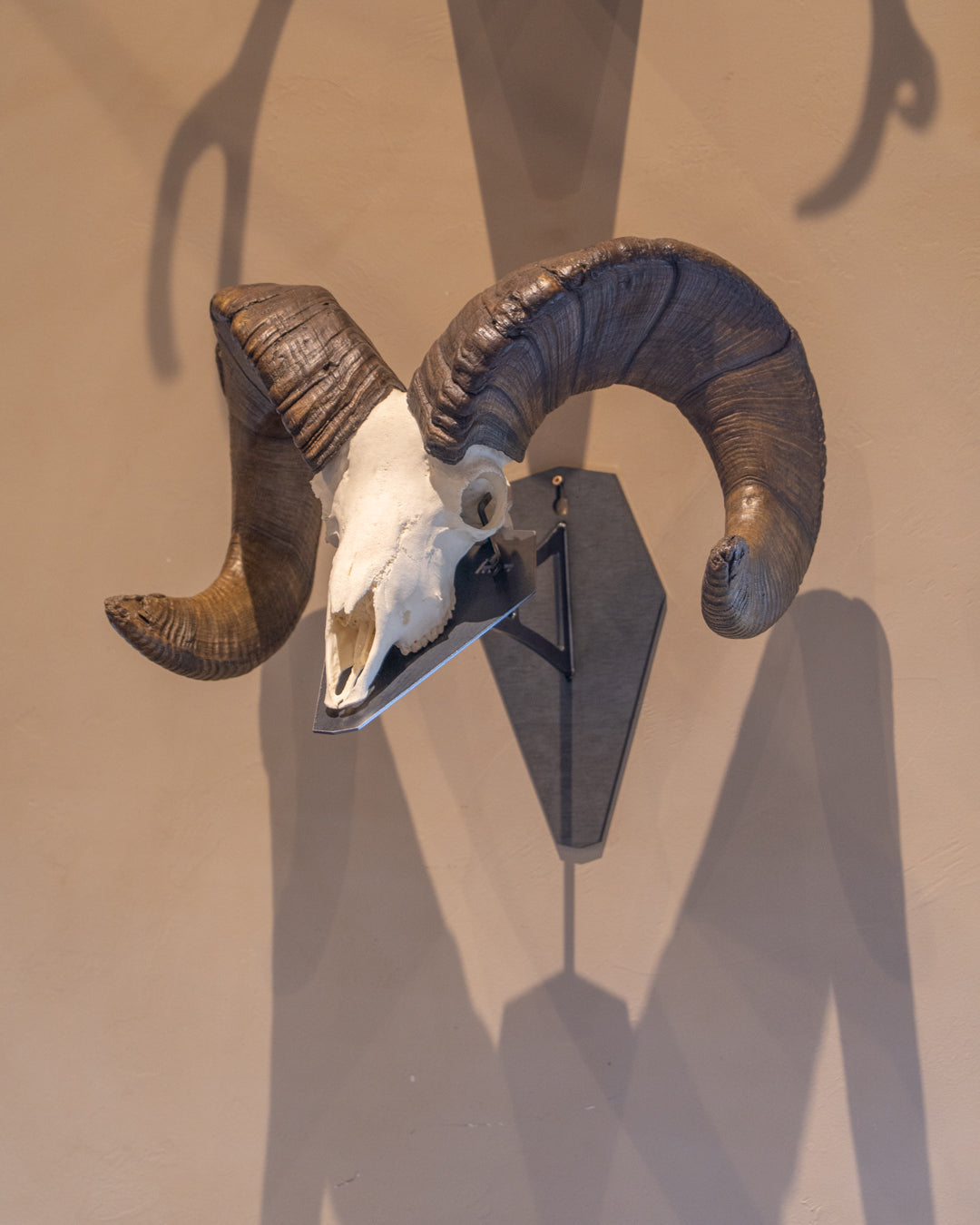Premium Euro Mount Display - Wall