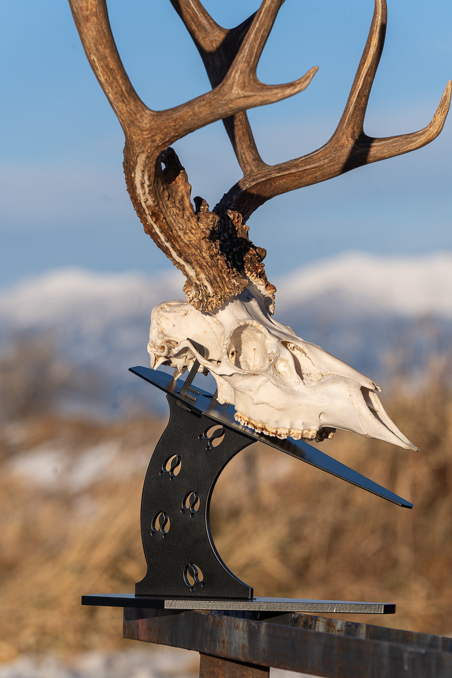 Premium Euro Mount Display - Table