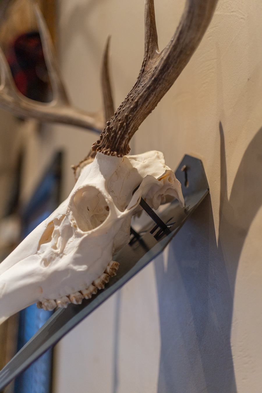 Standard Euro Mount - Wall