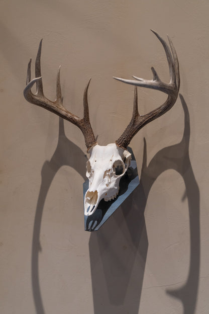 Standard Euro Mount - Wall