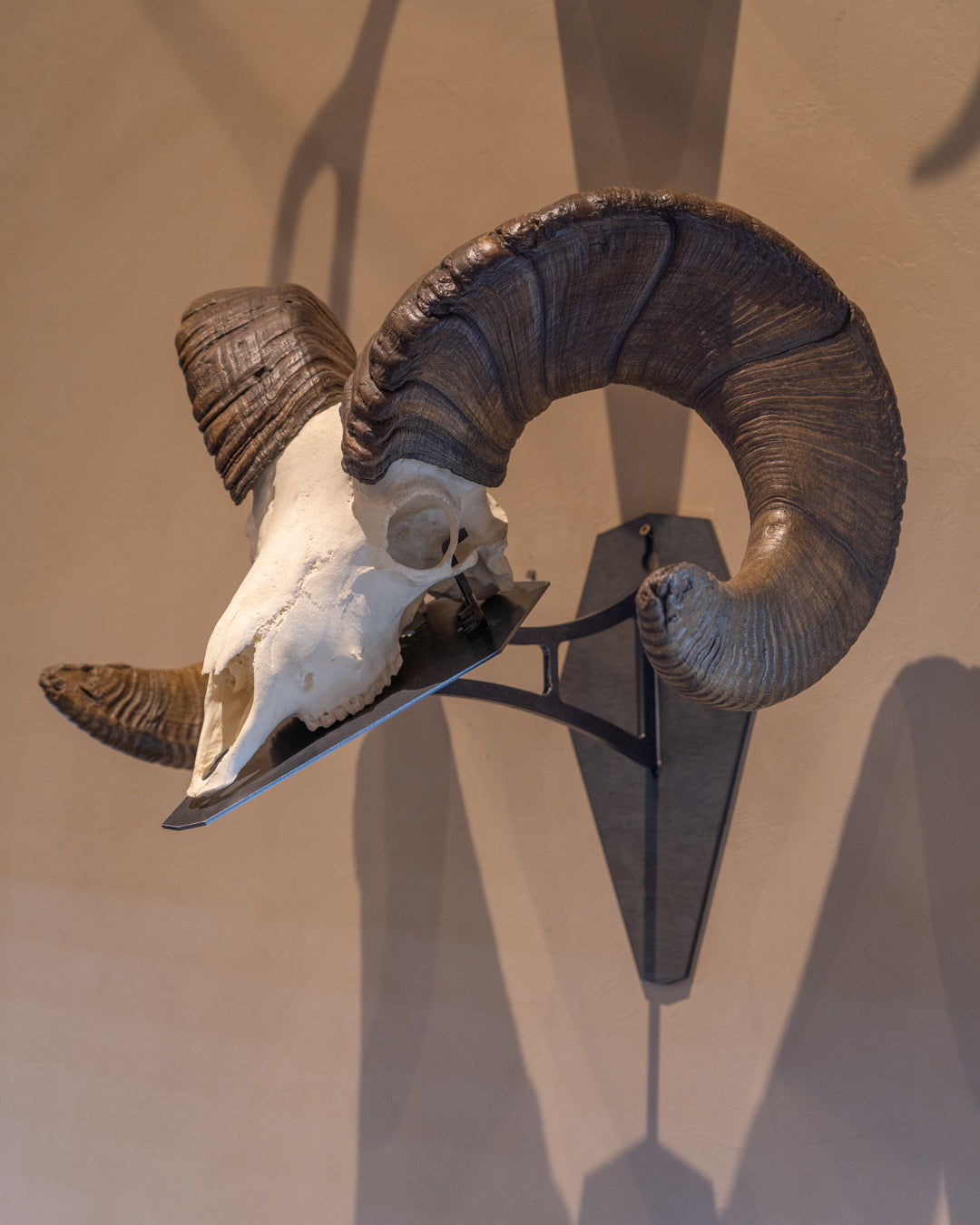 Premium Euro Mount Display - Wall