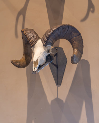 Premium Euro Mount Display - Wall