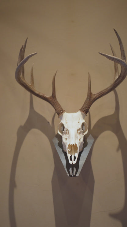 Standard Euro Mount - Wall