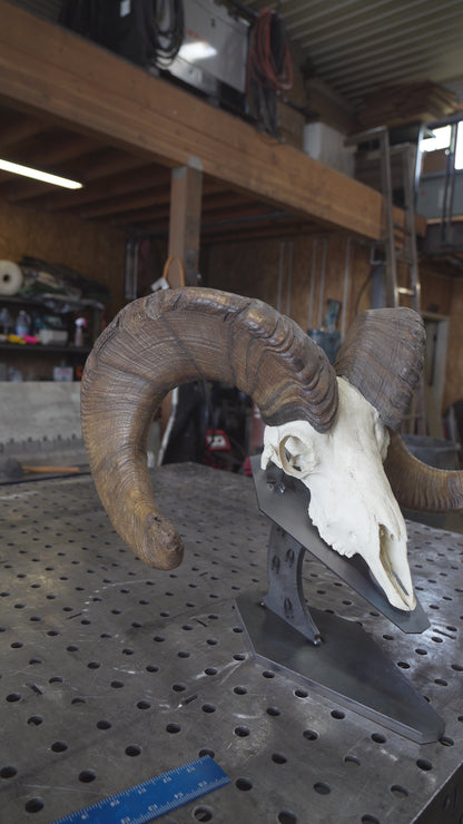 Premium Euro Mount Display - Table